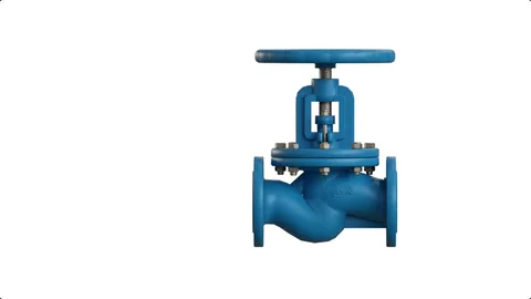 Globe Valve
